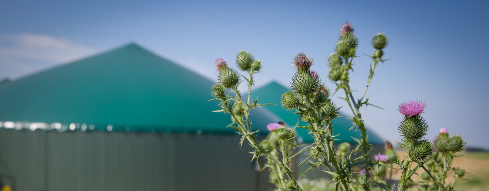 Le biométhane et les territoires