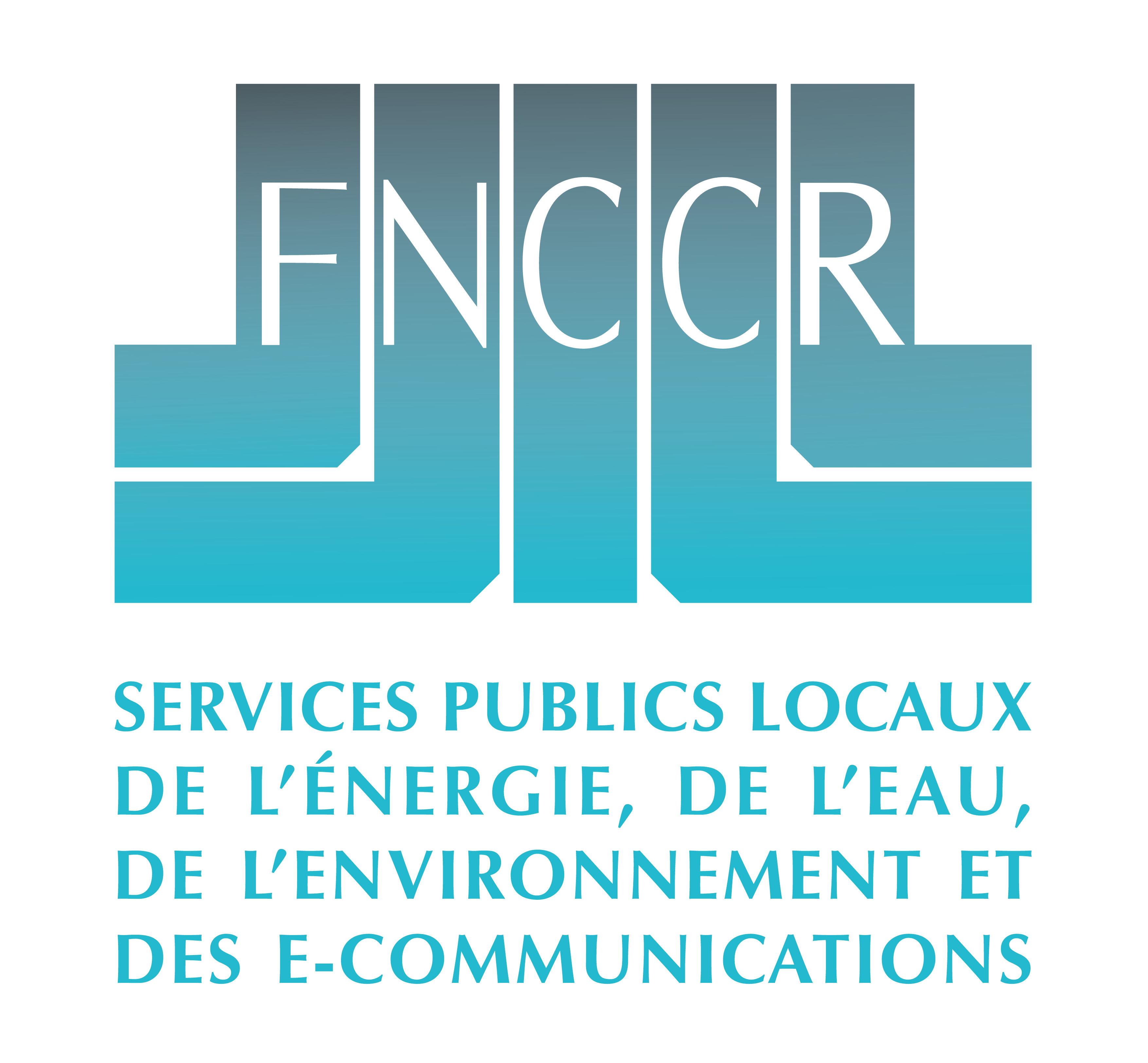 LOGO_OK_FNCCR_2020.jpg